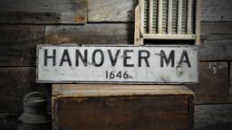 Custom City State Sign, Rustic Wooden Wall Decor - thumbnail 1