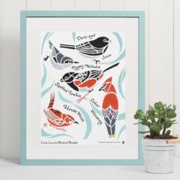 Lack Lazuli's Birds Of Boulder Art Print/Colorado Birder Bird Junco Waxwing Nuthatch Towhee Wren - thumbnail 3