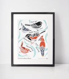 Lack Lazuli's Birds Of Boulder Art Print/Colorado Birder Bird Junco Waxwing Nuthatch Towhee Wren