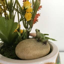 Garden Frog - thumbnail 2