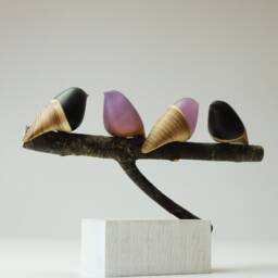 Duo Family Birds - 17 - thumbnail 4