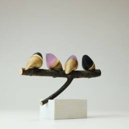 Duo Family Birds - 17 - thumbnail 3