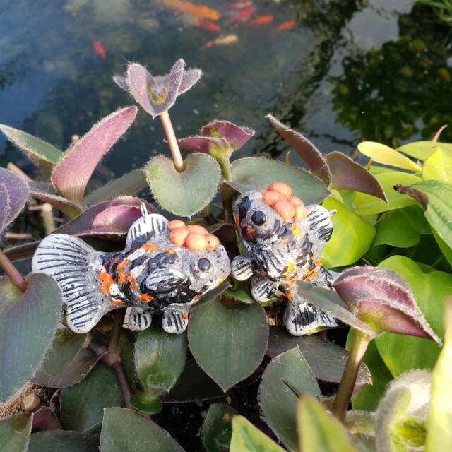 Azuma Nishiki Goldfish Christmas Ornament - image 1