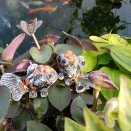 Azuma Nishiki Goldfish Christmas Ornament - thumbnail 3