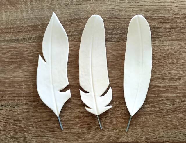 Feather Wall Art, Set Of 3 Feathers Decor, Hanging, Natural Art - image 1