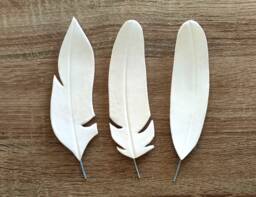 Feather Wall Art, Set Of 3 Feathers Decor, Hanging, Natural Art - thumbnail 1