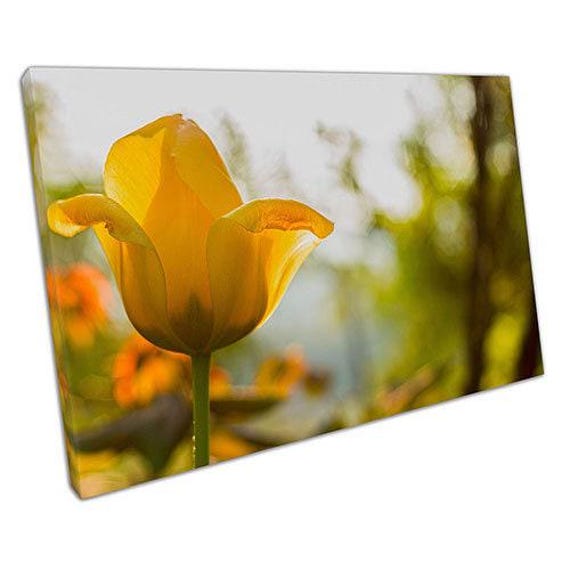 Vibrant Yellow Spring Flower Canvas Print Ready-To-Hang Wall Art For Home & Office Decor - image 1