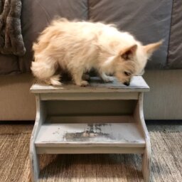 Bed Steps Farmhouse Gray Distressed With Two Stairs Customizable For People Or Pets - thumbnail 2