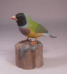 Gouldian Finch - Black-Head Hand Carved Wooden Bird