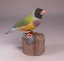 Gouldian Finch - Black-Head Hand Carved Wooden Bird - thumbnail 2