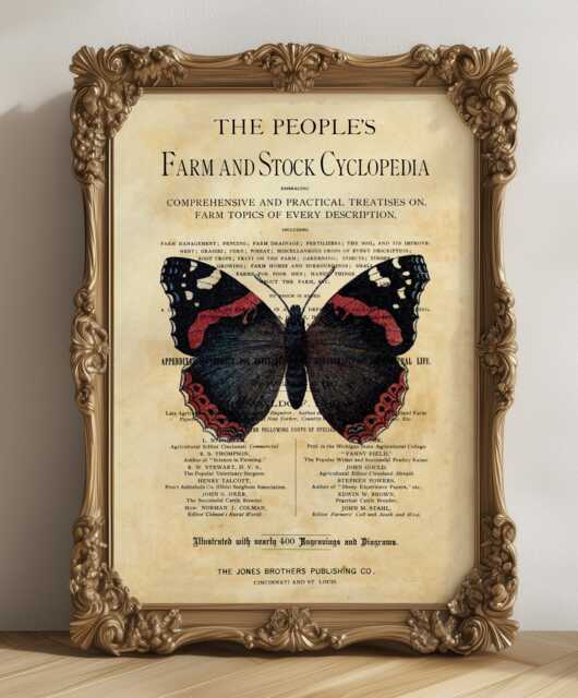 Vintage Style Butterfly Print, Book Page, A4, Fabulous Vintage Wall Art