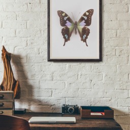 Swallowtail Butterfly Print, Art, Poster, Kids Room Decor, Nature Nursery Wall Art - thumbnail 3