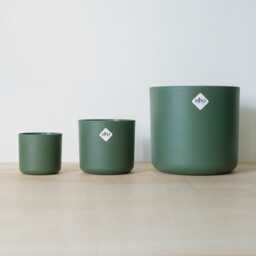 Elho B.for Soft, Leaf Green, Plant Pots in Multiple Sizes, Eco-Friendly Plastic - thumbnail 2