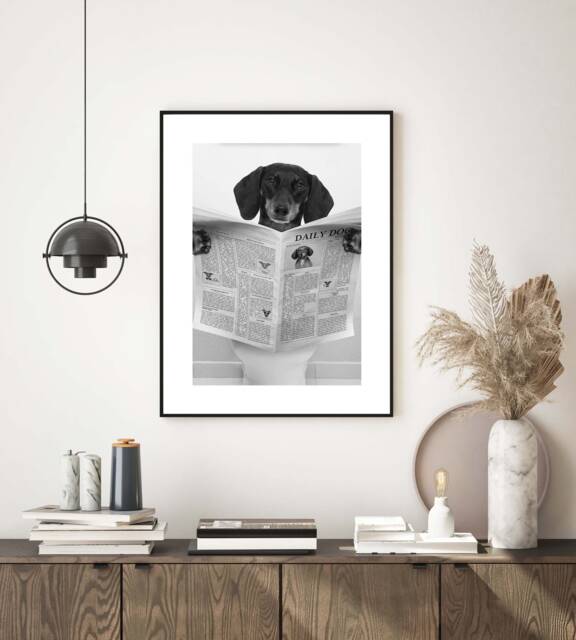 Daily Dog Dachshund, Bathroom Wc Wall Art Print, Black & White Modern Print Poster Decor Fun Poster, Photograph - image 1