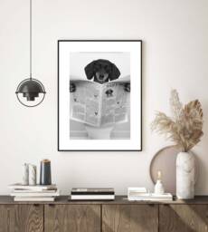 Daily Dog Dachshund, Bathroom Wc Wall Art Print, Black & White Modern Print Poster Decor Fun Poster, Photograph - thumbnail 1