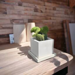 Atelier Ideco - Modern White Cube Concrete Planter Box With Draining Holes & Saucer, Nice For Cactus - thumbnail 2