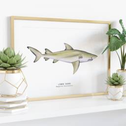 Lemon Shark Nature Print - Shark Dining Room Wall Art Nautical Home D??cor Gift Montessori Nursery Prints Negaprion Brevirostris - thumbnail 3