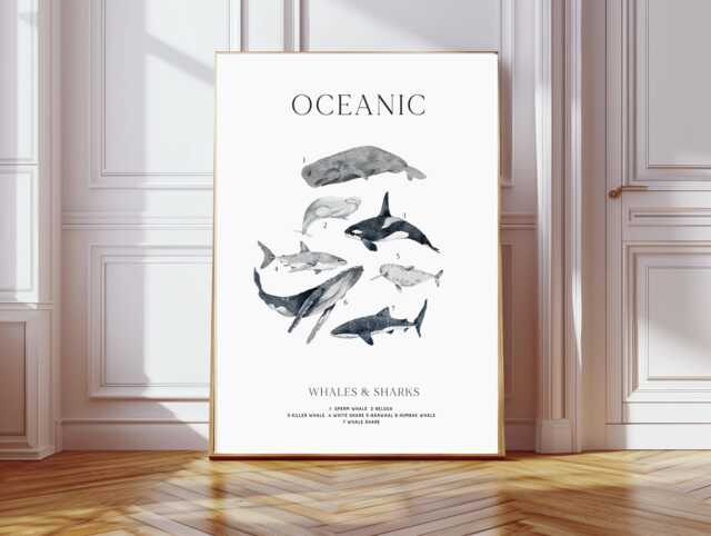 Natural History Exhibition Poster, Ocean Amimals Print, Educational Prints, Shark Species, Marine Animals Illustration - image 1