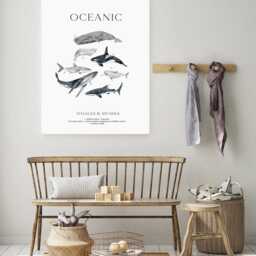 Natural History Exhibition Poster, Ocean Amimals Print, Educational Prints, Shark Species, Marine Animals Illustration - thumbnail 3