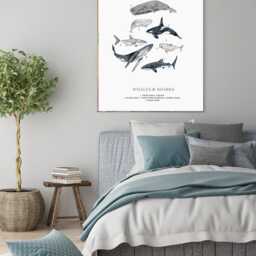 Natural History Exhibition Poster, Ocean Amimals Print, Educational Prints, Shark Species, Marine Animals Illustration - thumbnail 2