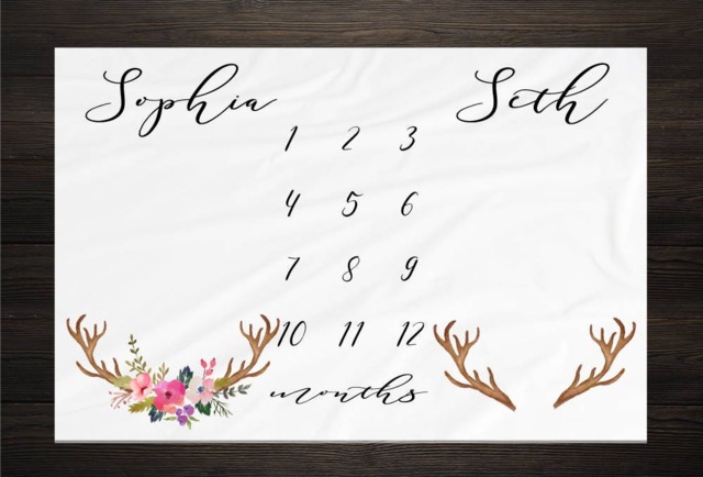 Twin Baby Milestone Blanket Month Growth Tracker Fleece Shower Newborn Gift Minky Boy Girl - image 1