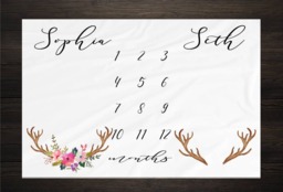 Twin Baby Milestone Blanket Month Growth Tracker Fleece Shower Newborn Gift Minky Boy Girl - thumbnail 1