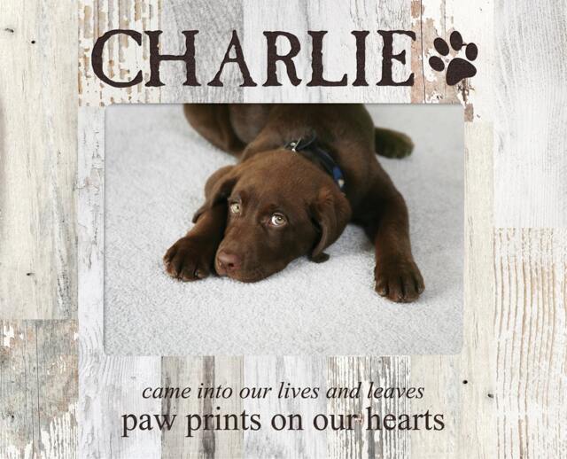 Personalized Pet Prints Photo Frame - Engraved Picture Gift Portrait Lover Birthday Holiday - image 1