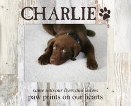 Personalized Pet Prints Photo Frame - Engraved Picture Gift Portrait Lover Birthday Holiday - thumbnail 1
