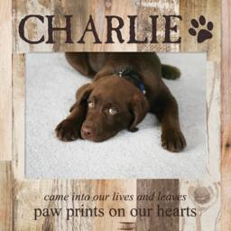 Personalized Pet Prints Photo Frame - Engraved Picture Gift Portrait Lover Birthday Holiday - thumbnail 2