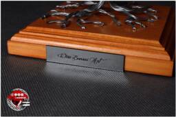 Wire Bonsai Tree Handmade Steel Sculpture, Engraved Dedication Option - thumbnail 1