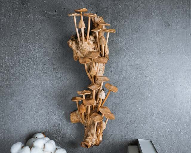 Handmade Wooden Mushroom Wall Art Tropical Driftwood Sculpture 14 - image 1