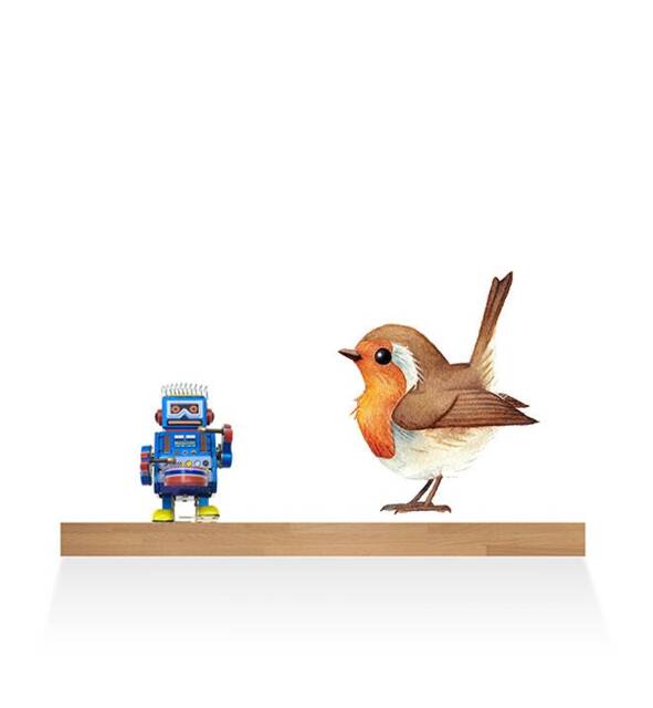 European Robin Bird Wall Sticker Decal - Dogs & Pets Stickers, Art, Decals, Kids Boys, Girls, Animals Decals