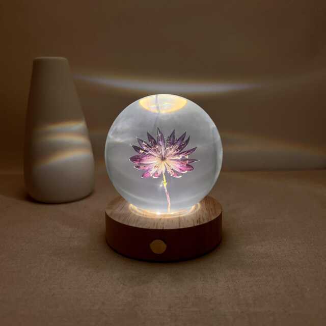 Custom Star Celery Flower Night Light, Dried Resin Lamp, Preserved Floral Table Eternal Purple Art, Bedside Lamp - image 1