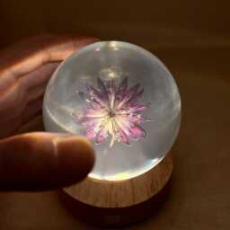 Custom Star Celery Flower Night Light, Dried Resin Lamp, Preserved Floral Table Eternal Purple Art, Bedside Lamp - thumbnail 4