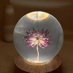 Custom Star Celery Flower Night Light, Dried Resin Lamp, Preserved Floral Table Eternal Purple Art, Bedside Lamp - thumbnail 2