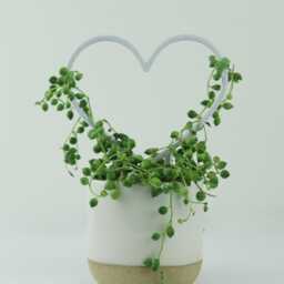 Heart Shaped Trellis - Hoya Houseplant Indoor Plant Gift - thumbnail 3