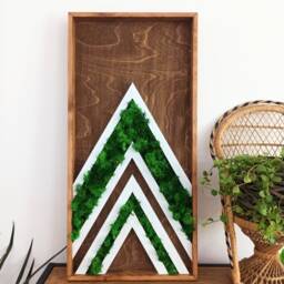 Framed Moss Wall Art Geometric Aztec Wood Decor