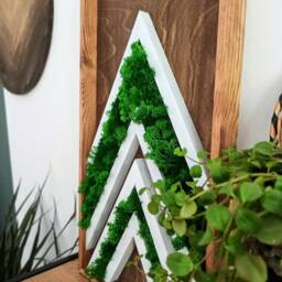 Framed Moss Wall Art Geometric Aztec Wood Decor - thumbnail 4