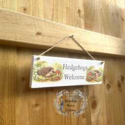 Soap Dispenser Hand Wash Lotion Hedgehog Toadstools Mushrooms Woodland Forest Leaves Decoupaged Glass Handmade - thumbnail 4