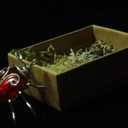 Beetle in A Box Gift - thumbnail 2
