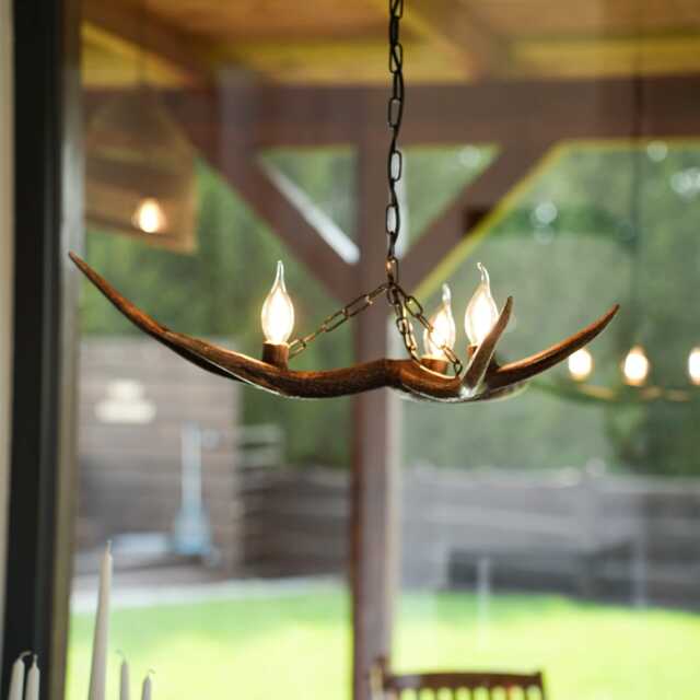 Small Real Deer Chandelier - image 1