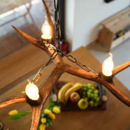 Small Real Deer Chandelier - thumbnail 2