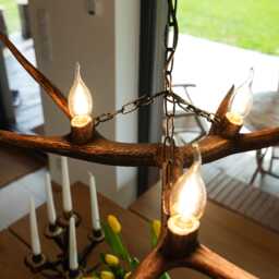 Small Real Deer Chandelier - thumbnail 4