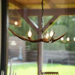 Small Real Deer Chandelier - thumbnail 1