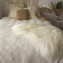 On Sale Sale Exclusive Genuine Natural Icelandic Sheepskin Rug, Pelt, Super Soft Long Fur Creamy White - thumbnail 2