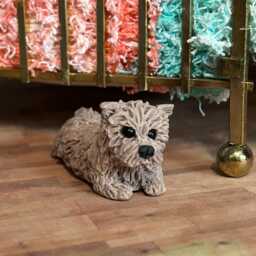 Cairn Terrier Dog, Dollhouse 112 Scale, Fairy Garden Dog, Polymer Clay Sculpture - thumbnail 3