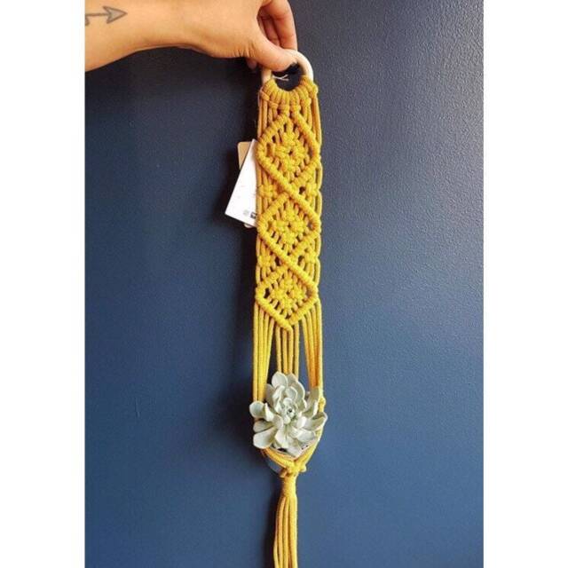 Macrame Plant Hanger/Succulent - image 1