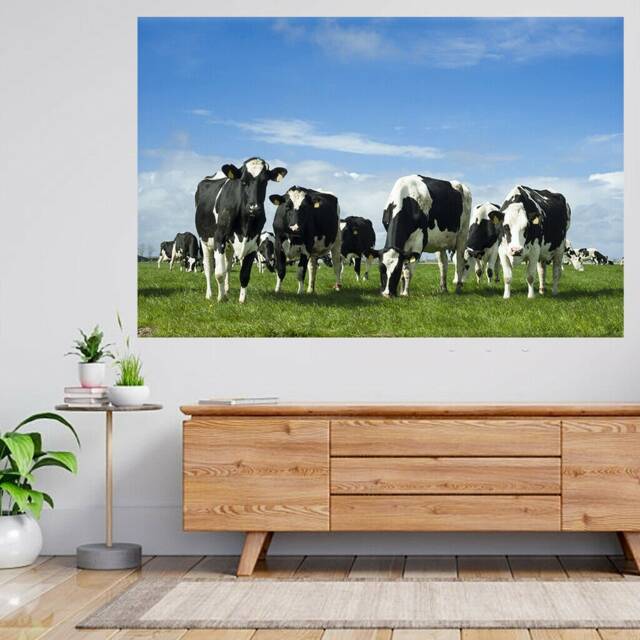 Buffalo in Field Natural 3D View Wall Sticker Poster Decal A919 - image 1