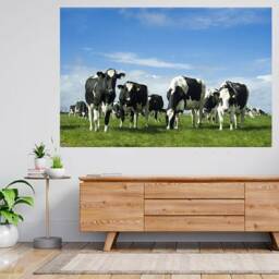 Buffalo in Field Natural 3D View Wall Sticker Poster Decal A919