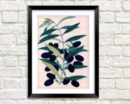 Olive Prints Vintage Green & Black Olives Art Illustrations - thumbnail 1